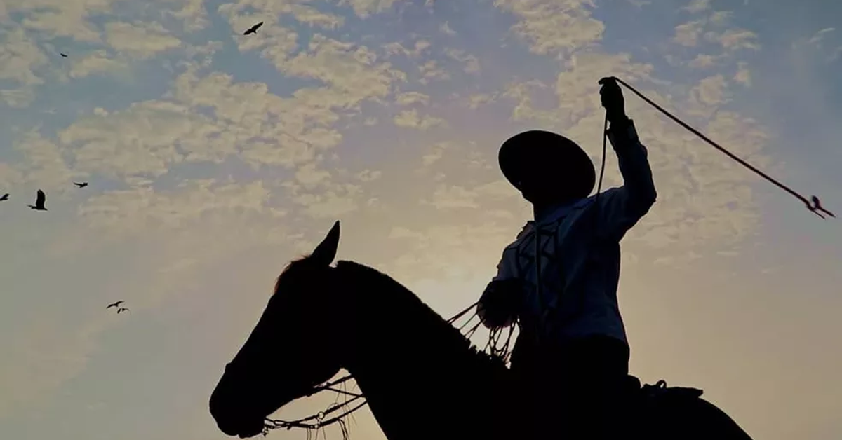 Leia mais sobre o artigo Sine de Porto Velho oferta 68 vagas de emprego nesta segunda-feira (18)